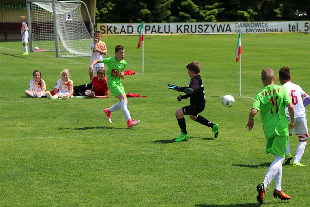 也引发了艺 也引发了艺