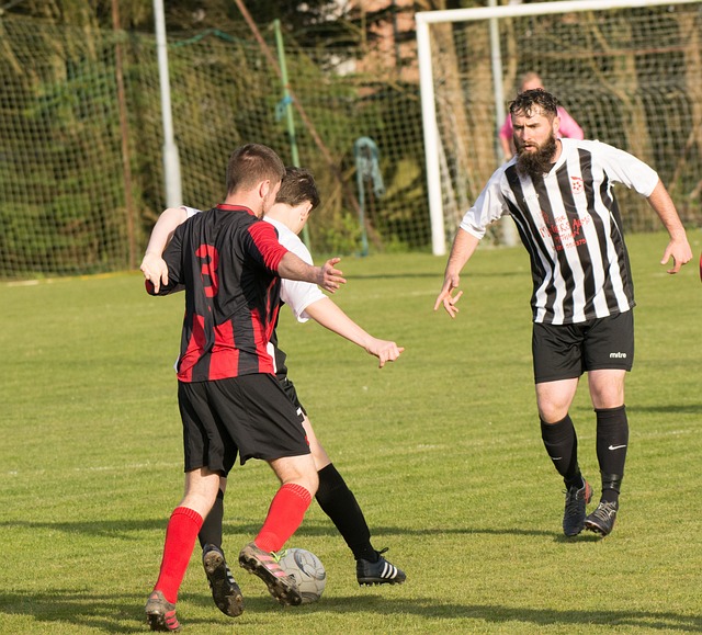 火箭后场带 火箭后场带