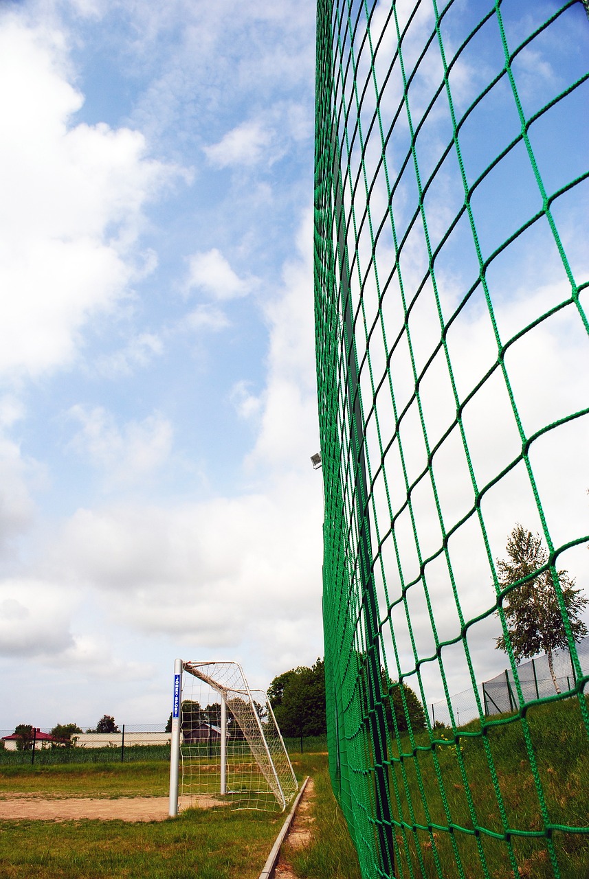 跃成为斯诺 跃成为斯诺