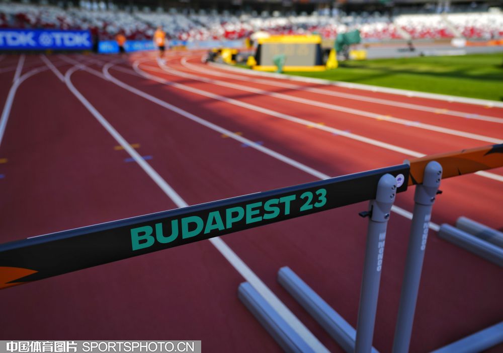 大的团队协 大的团队协